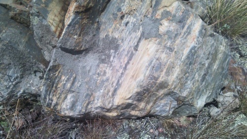 Гигантские зелёные валуны для ландшафтного дизайна весом более 5 тонн купить в Заречныом